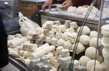 galerie-Marché des Saveurs et Terroirs 2025